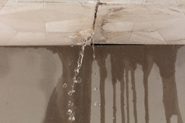Professional Burst Pipe Cleanup technician working in Belding, MI